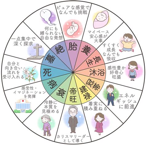 四長生|四柱推命の十二運星【長生】の意味｜性格・適職・恋愛を解